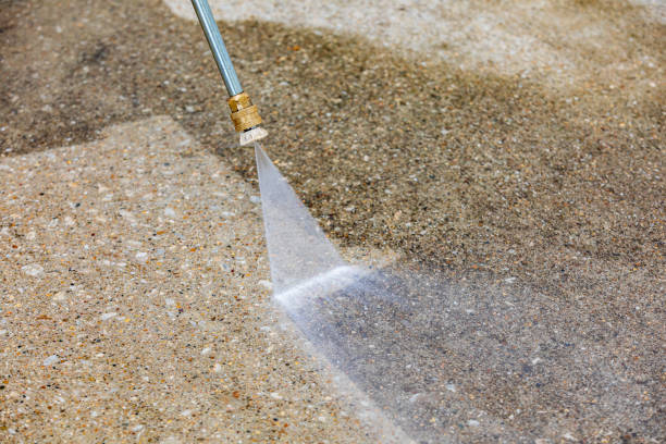 Best Sidewalk and Walkway Cleaning  in Lapel, IN